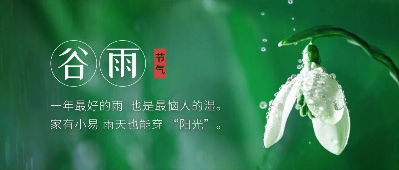 谷雨天，雨水多，晾晒难，那你是还没找到对的TA！